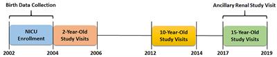 Albuminuria, Hypertension, and Reduced Kidney Volumes in Adolescents Born Extremely Premature